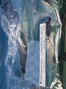 SAM Electronics DEM401模块 C 6115