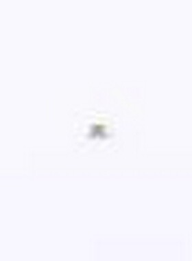 04000025WR 一次性保险丝 04000025WR 0603