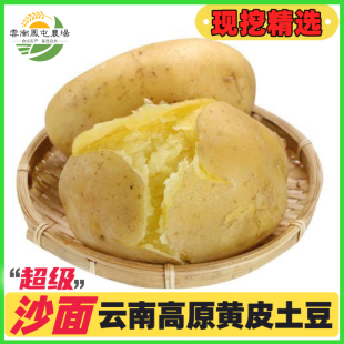 黄皮土豆产地直发新鲜现挖黄心黄皮马铃薯土豆洋芋粉糯香甜优质