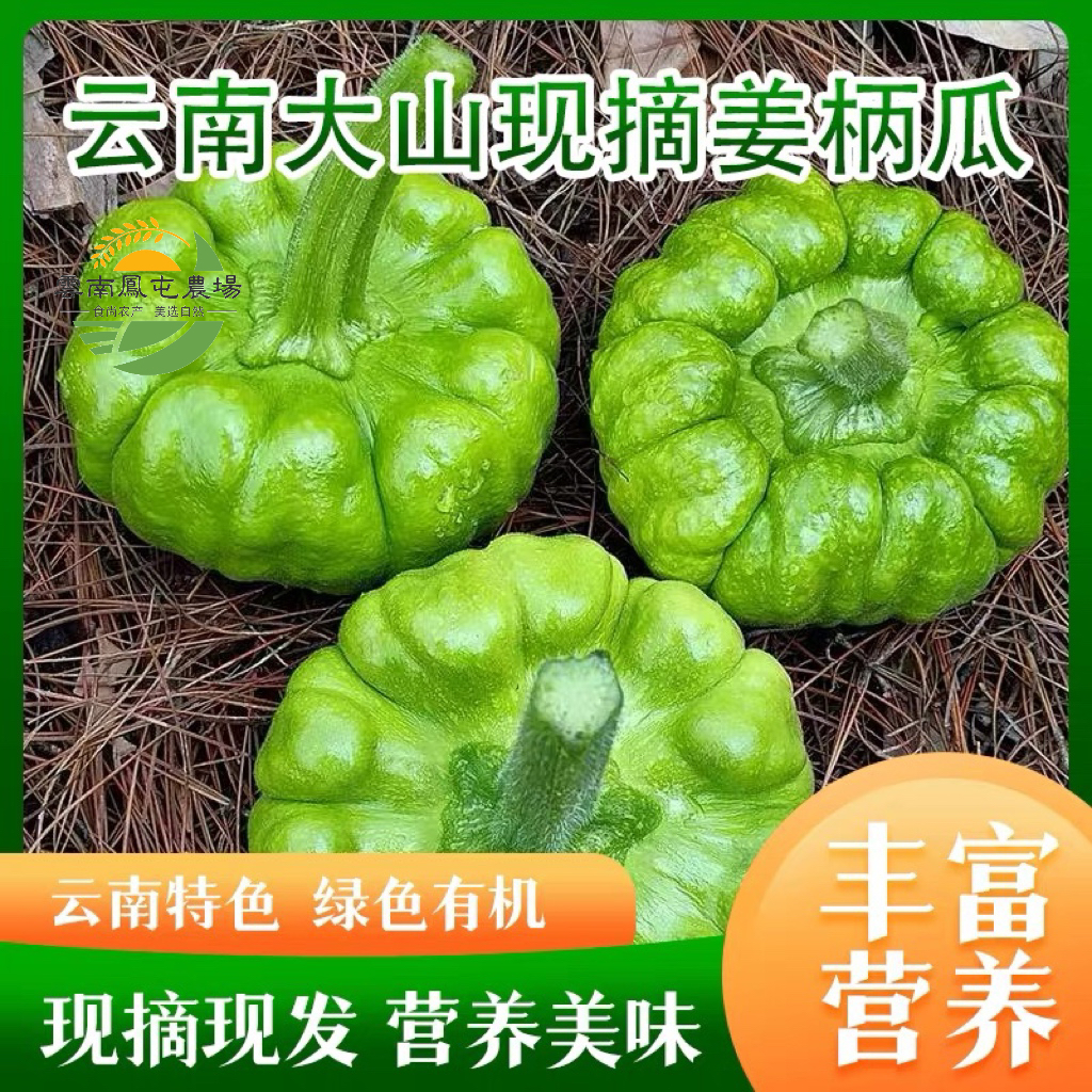 云南姜柄瓜姜饼瓜姜柄瓜小南瓜甜瓜小绿瓜特产嫩南瓜农家自种现摘