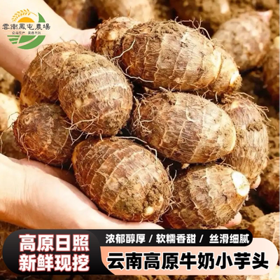 云南牛奶小香芋新鲜软糯香滑