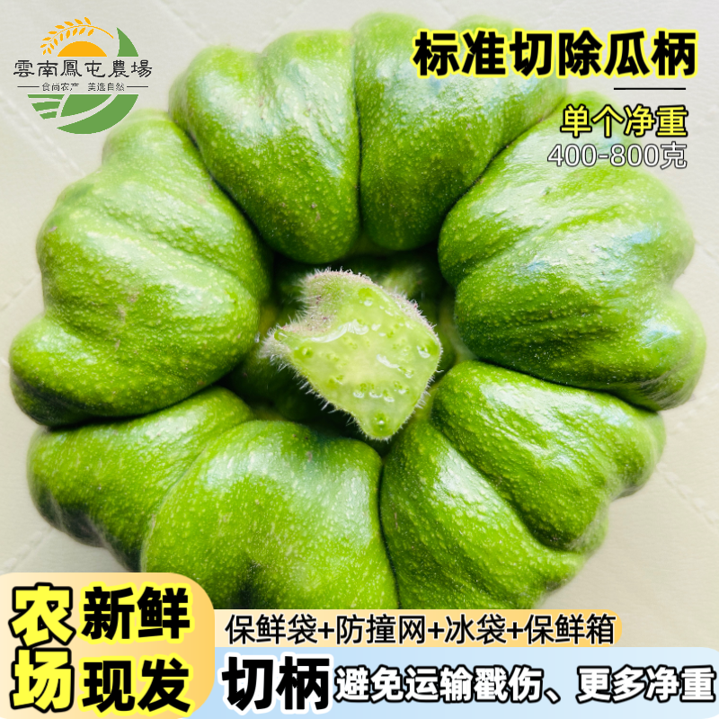 云南姜柄瓜姜饼瓜姜柄瓜小南瓜甜瓜小绿瓜特产嫩南瓜农家自种现摘