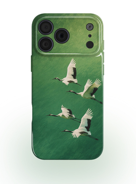 绿野仙踪 中国风新中式国潮艺术感文艺手机壳 适用于苹果iPhone17ProMax华为Mate80P70荣耀500小米17promax