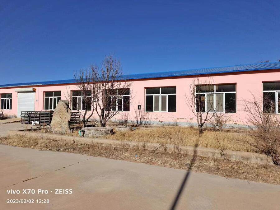 12月31日通辽工业土地、建筑物、构筑物及其他辅助设施、生产性生物资产网络拍卖公告