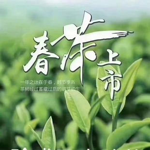 2025玲珑茶湖南郴州桂东特产早春高山云雾绿茶桥头茶叶新茶明前茶