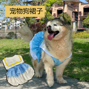 宠物狗衣服泰迪德牧萨摩耶哈士奇巨贵金毛阿拉斯加大型犬大狗裙子