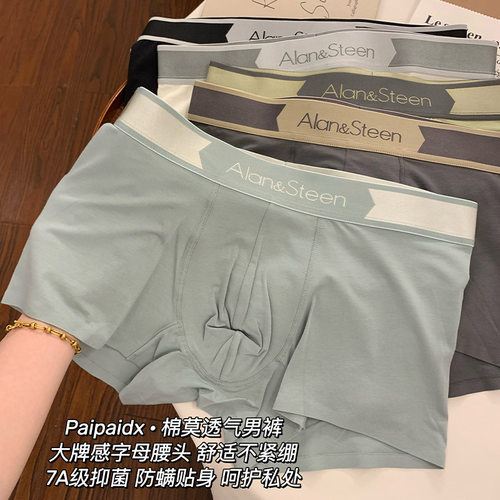 男士内裤中腰纯棉全棉莫代尔