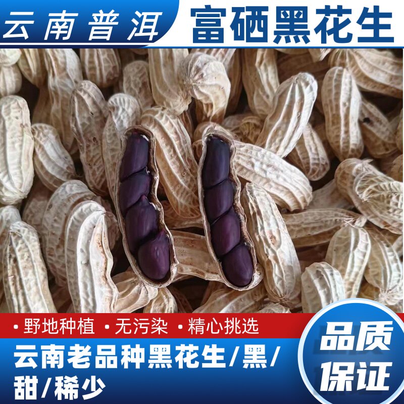 25年云南特产黑花生带壳富硒黑花生晒干新货正宗特级小黑花生种子