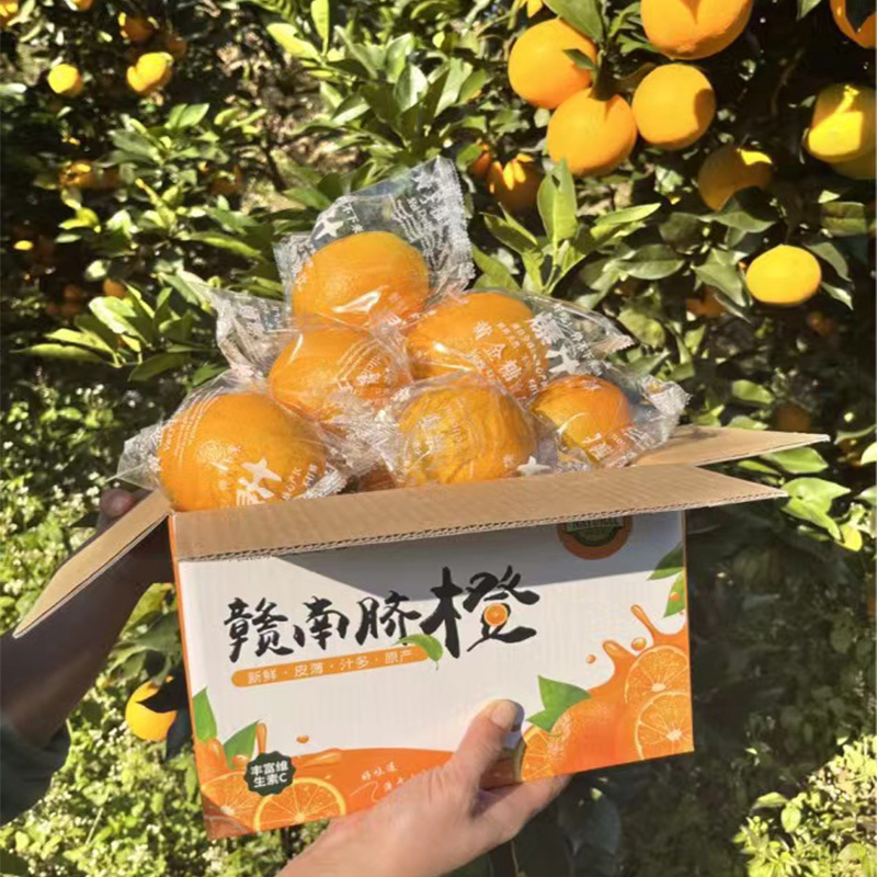 元気小说赣南脐橙5-10斤家庭装应季新鲜水果核心产区孕妇儿童水果