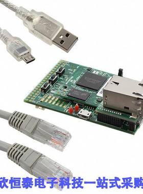 DM320008开发板 《 PIC32MZ GRAPHICS EVAL BRD    》