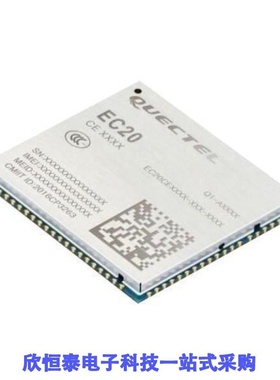 EC20CEFASG-256-SGNS/EC20CEFILG-128-SGNS/EC20CEFRG-512-SGNS