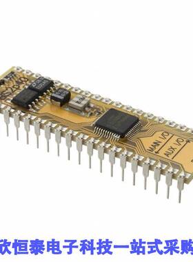 BS2P40芯片 《 IC MODULE SX48AC 20MHZ 38B 16KB    》