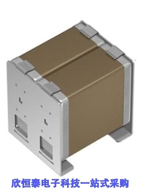 CAA572X7S2A336M640LH/CAA572X7T2J105M640LH