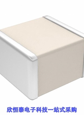 CSRV040204L5101FT50PPM/CSRV040204L5490FT50PPM