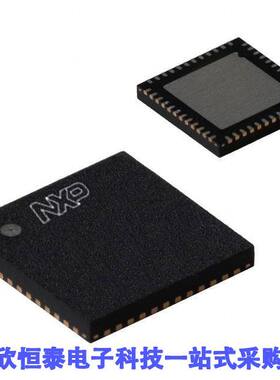 LPC2106FHN48/01,55 null NXP