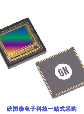 NOIP1SE016KA-GTI/NOIP1SE025KA-GTI/NOIP1SE0300A-QDI