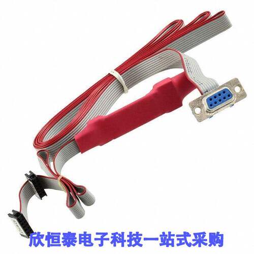20-101-0513开发板 《 CABLE PROGRAMMING RS232    》