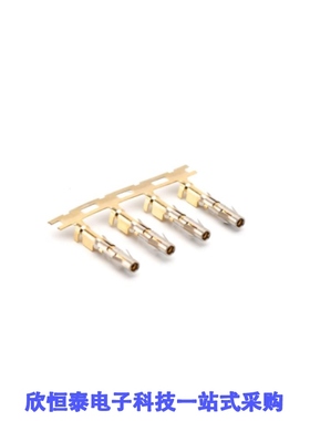 SS24M2F/SS24MH/SS24MHRSG