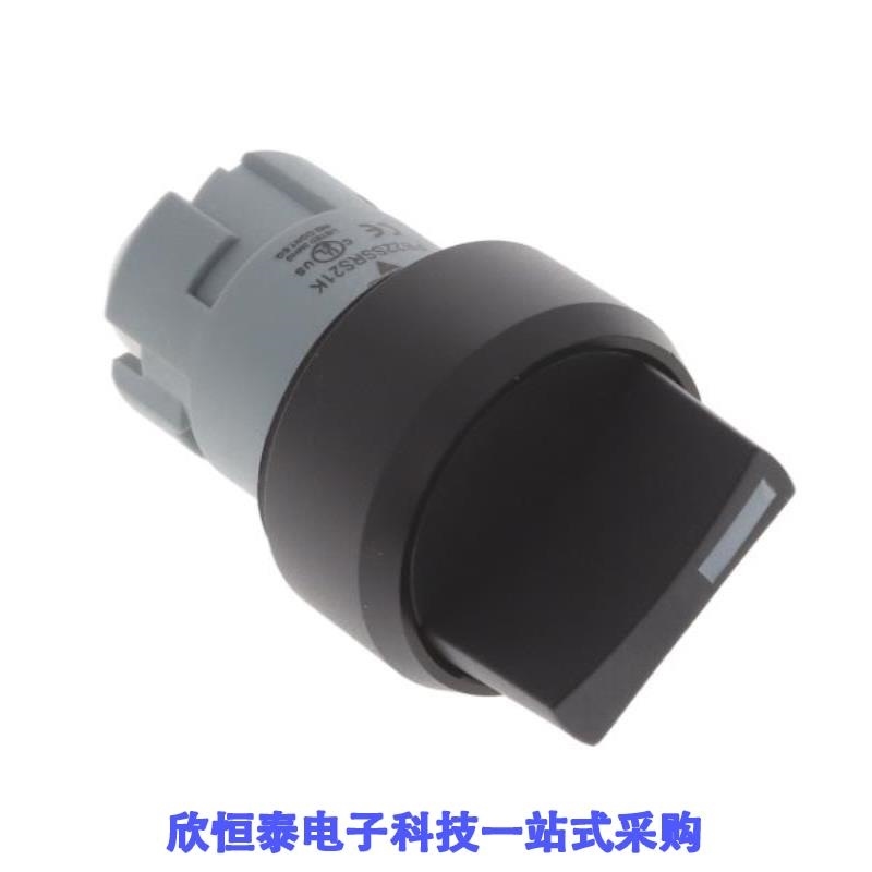 PB22SSRS31K PB22SSRS21K PB22SSRS32K