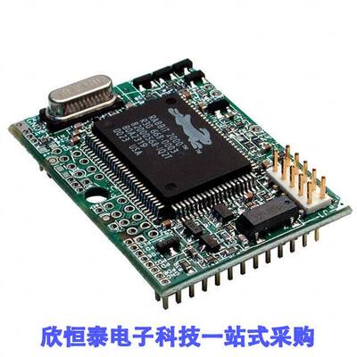 20-101-0453芯片 《 IC MOD RABBIT 2000 22.1MHZ 128KB    》