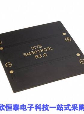 SM301K09L null IXYS