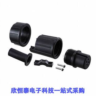 CONN SOLDER PLUG 4POS FMALE CXS3106A14S2S连接器