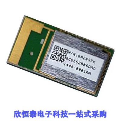 BM20SPKA1NBC-0001AA null Microchip Technology