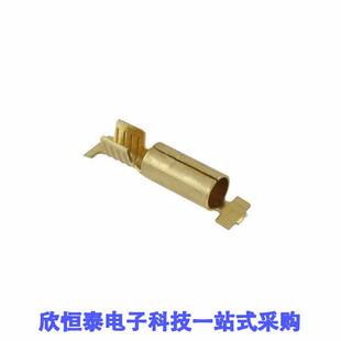 TERM 42868 CONN 14AWG CRIMP 1连接器 RCPT
