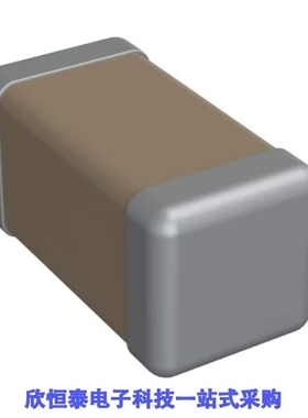 1206Y5000561FAT/1206Y5000561FCR/1206Y5000561FFR