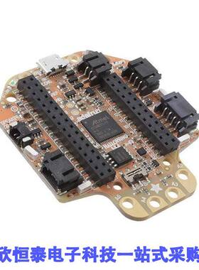 4300开发板 《 HALLOWING M4 EXPRESS    》