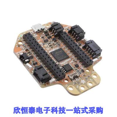 4300开发板 《 HALLOWING M4 EXPRESS    》