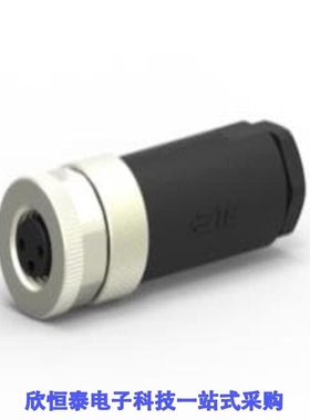 T4010008031-000/T4010008041-000/T4010019031-000