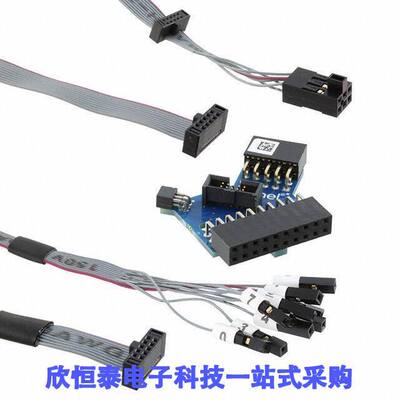 ATATMEL-ICE-ADPT开发板 《 ADAPTER SAM ICE    》
