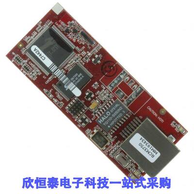 20-101-1028芯片 《 IC MOD RABBIT 3000 22.1MHZ 512KB    》
