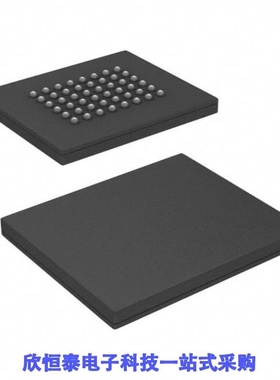 S29AL008J55BFIR23/S29AL008J55TFAR23/S29AL008J55TFIR10