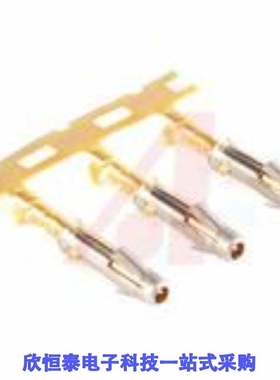 SS24W1F/SS24W2F/SS24W2T