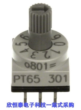 PT65301/PT65303/PT65321