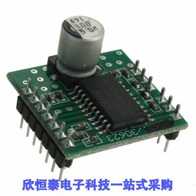 AM306239R1DBGEVB null ON