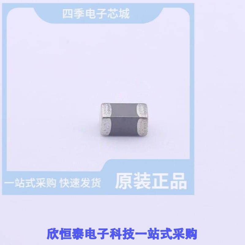 FS31X106K350EPG FS31X106K250EPG FS31X105K500EPG