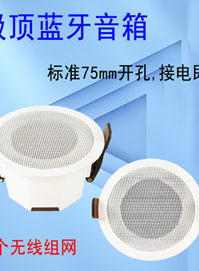一对多无线蓝牙音箱喇叭系统75mm吸顶客餐厅过道厨卫家居超市商用