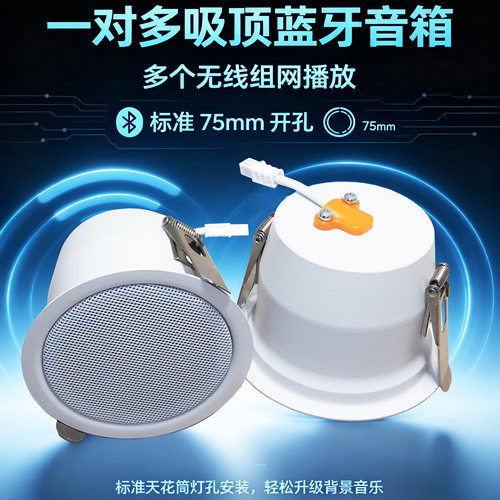 背景音乐一对多吸顶蓝牙音箱10瓦