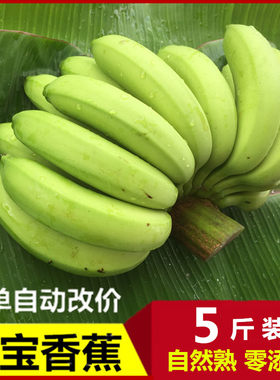 天宝香蕉新鲜香蕉水果果园