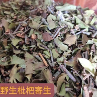 正宗广西野生枇杷树寄生 枇杷桑寄生干品500克