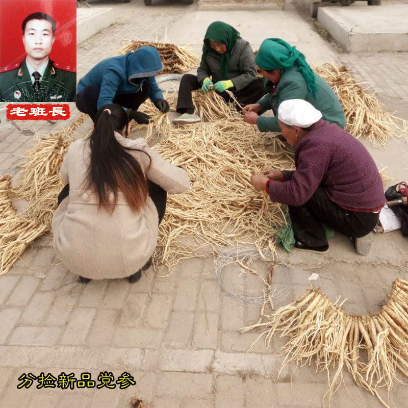 甘肃非野生党参大条煲汤黄芪当归