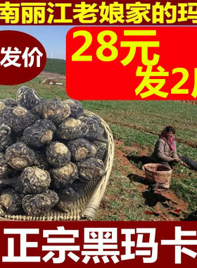 云南丽江500克包邮玛卡