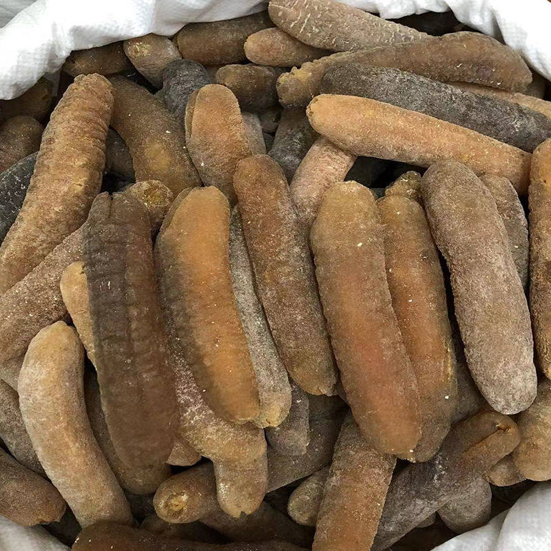 光秃参澳洲金沙参野生海参进口淡干货海产品深海冷水参食用海产品