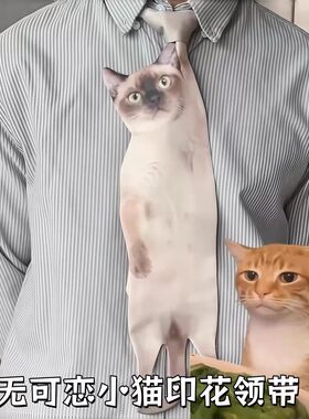 生无可恋猫咪领带仿真小猫领带趣味印花衬衫领结爱猫人士百搭领巾