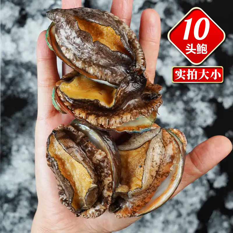 东山岛鲍鱼二斤超划算