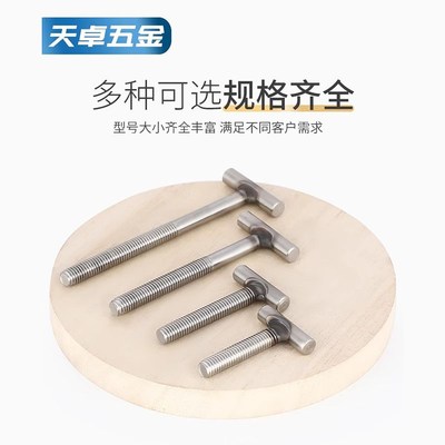 304不锈钢T型螺钉圆柱焊接钉丁字形螺丝螺杆螺F栓M4M5M6M8M10M12m