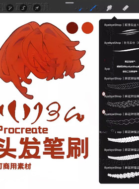 Procreate头发笔刷 描边发丝麻花辫 可商用飘逸发丝上色发片发辫